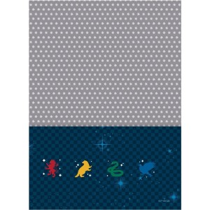 Caderno 20 Matérias Universitário Espiral Harry Potter - Jandaia