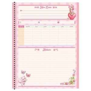 Caderno COLEGIAL 10 Matérias Espiral Moranguinho - Animativa